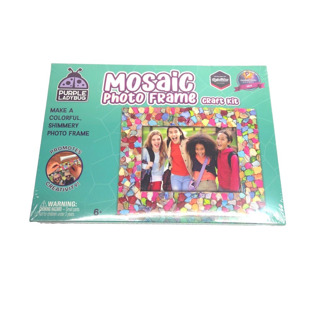 Purple Ladybug DIY Mosaic Multicolor Photo Frame Craft Kit Artistic Girl Gift